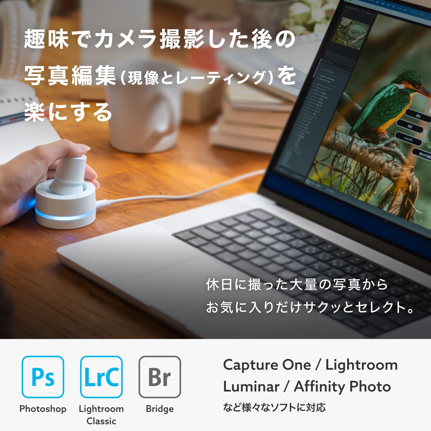 Amazon.co.jp: 【Amazon.co.jp限定】BRAIN MAGIC Luminella（ルミネラ